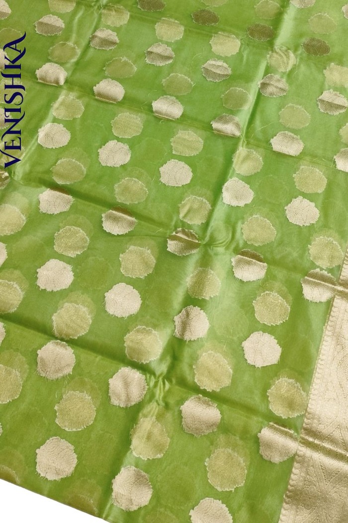 Handloom Kora Organza Fancy Saree Light Green