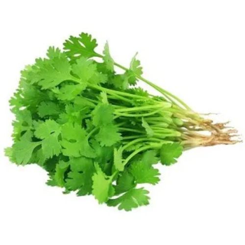 Coriandar (Dhaniya) - Organically grown 1 bunch (250g)