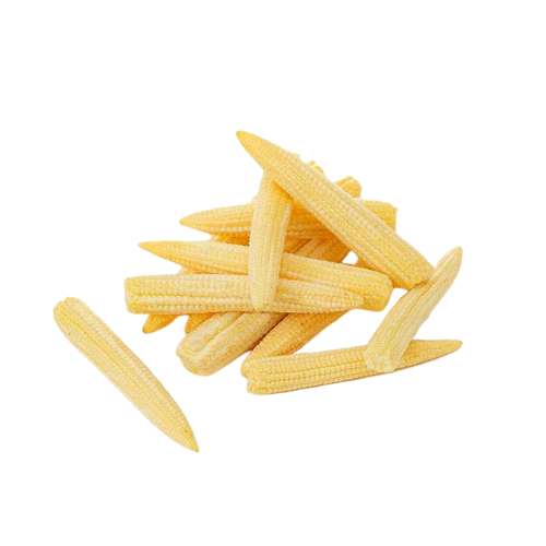 ONLYHYDROPONICS Baby Corn - Organically grown