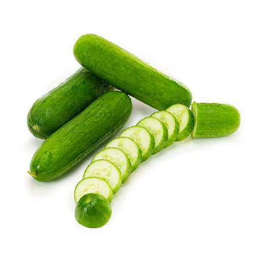 ONLYHYDROPONICS Snacking seedless Cucumber- Organically Grown - 4