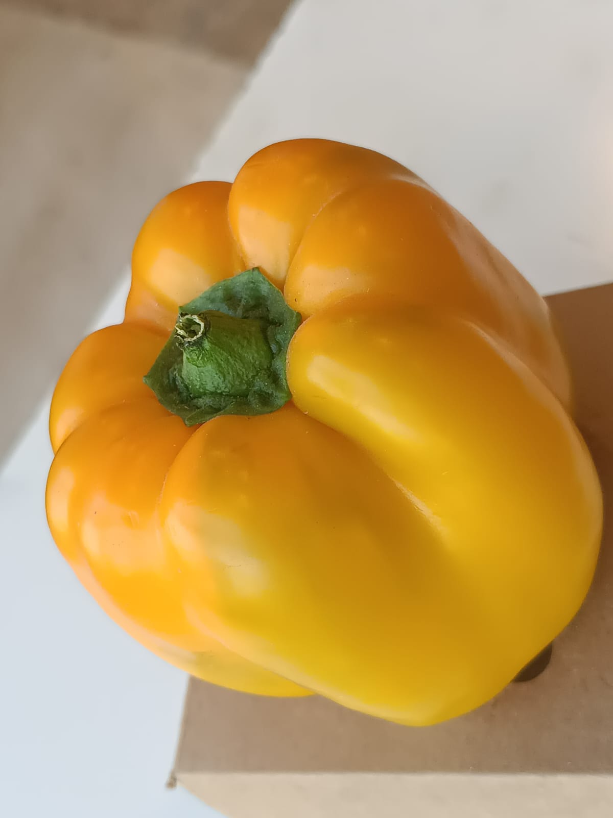 ONLYHYDROPONICS Orange fruity Bell peppers
