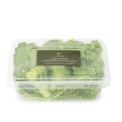 ONLYHYDROPONICS Soup Mix- Organically Grown - 3