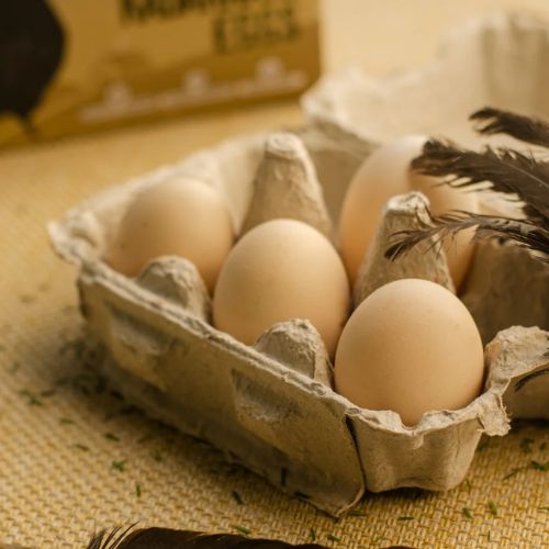 Premium Kadaknath Desi Organic Eggs (1 Box = 6 Eggs)