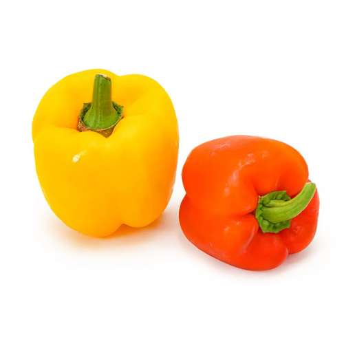 ONLYHYDROPONICS Sweet Bell Peppers- Organically Grown (Red/Yellow)