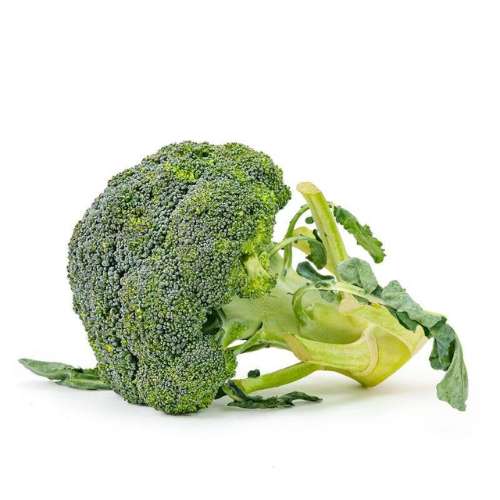 ONLYHYDROPONICS Broccoli- Organically Grown