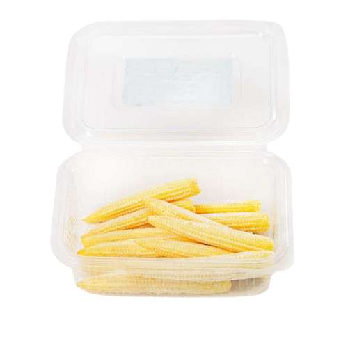 ONLYHYDROPONICS Baby Corn - Organically grown - 3