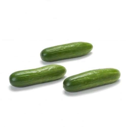 ONLYHYDROPONICS Snacking seedless Cucumber- Organically Grown - 3