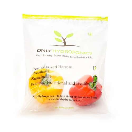 ONLYHYDROPONICS Sweet Bell Peppers- Organically Grown (Red/Yellow) - 4