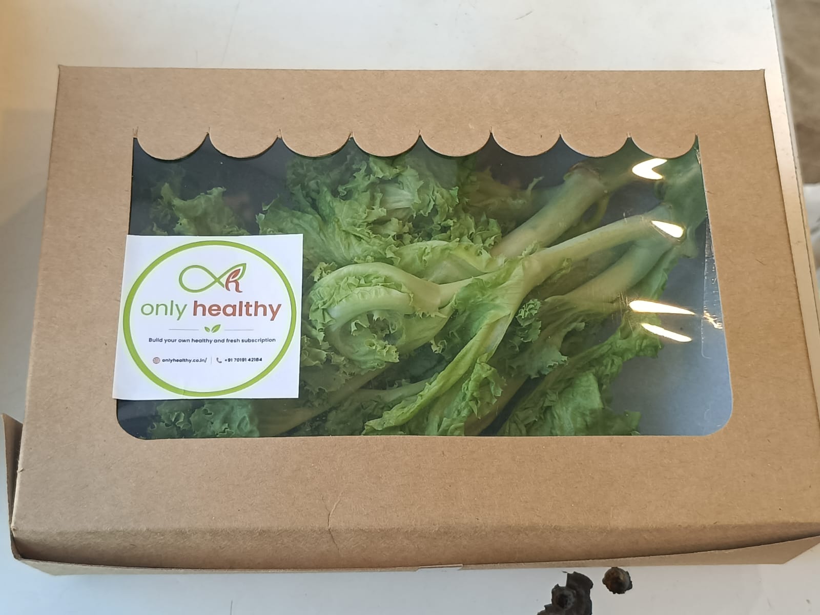ONLYHYDROPONICS Lettuce Locarno- Organically Grown (high in folate, manganese, and vitamins A and K) - Live Plant - 3