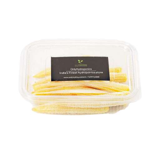 ONLYHYDROPONICS Baby Corn - Organically grown - 2
