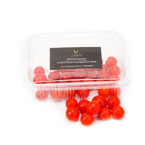 Cherry Tomatoes