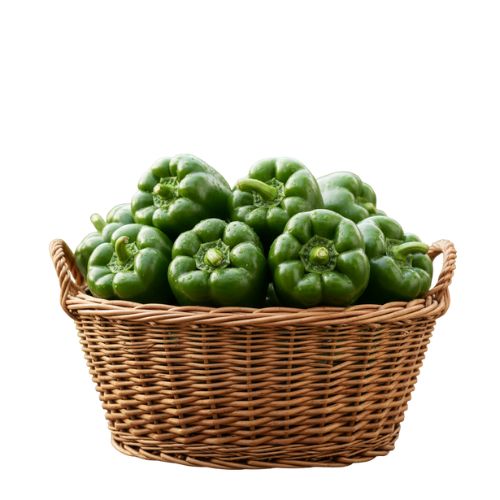 ONLYHYDROPONICS Sweet Bell Peppers- Organically Grown (Green)