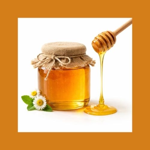 WildBloom Raw Forest Honey