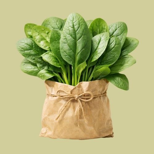 PureLeaf Baby Spinach Pack