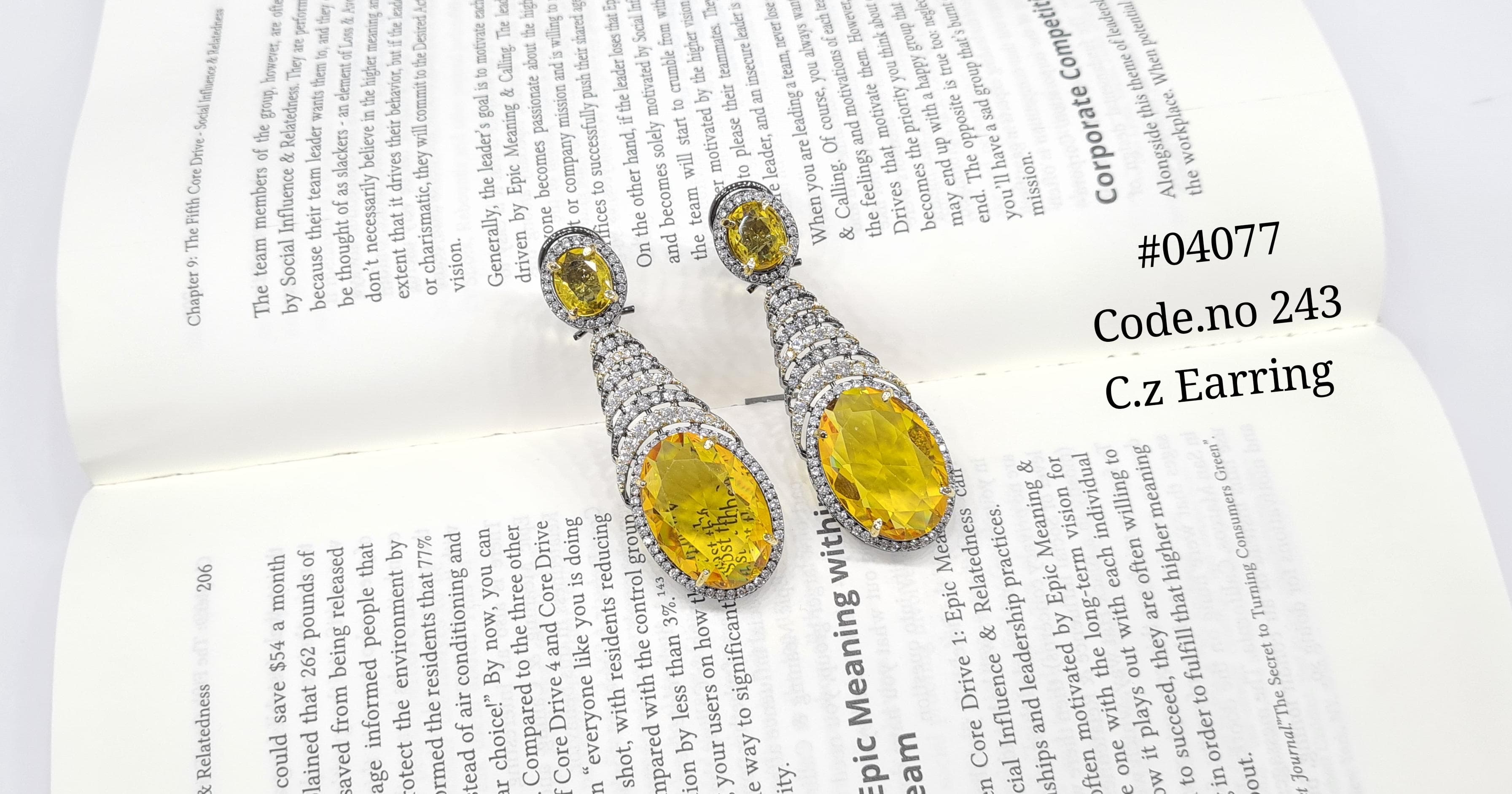 Cz Earrings 04077