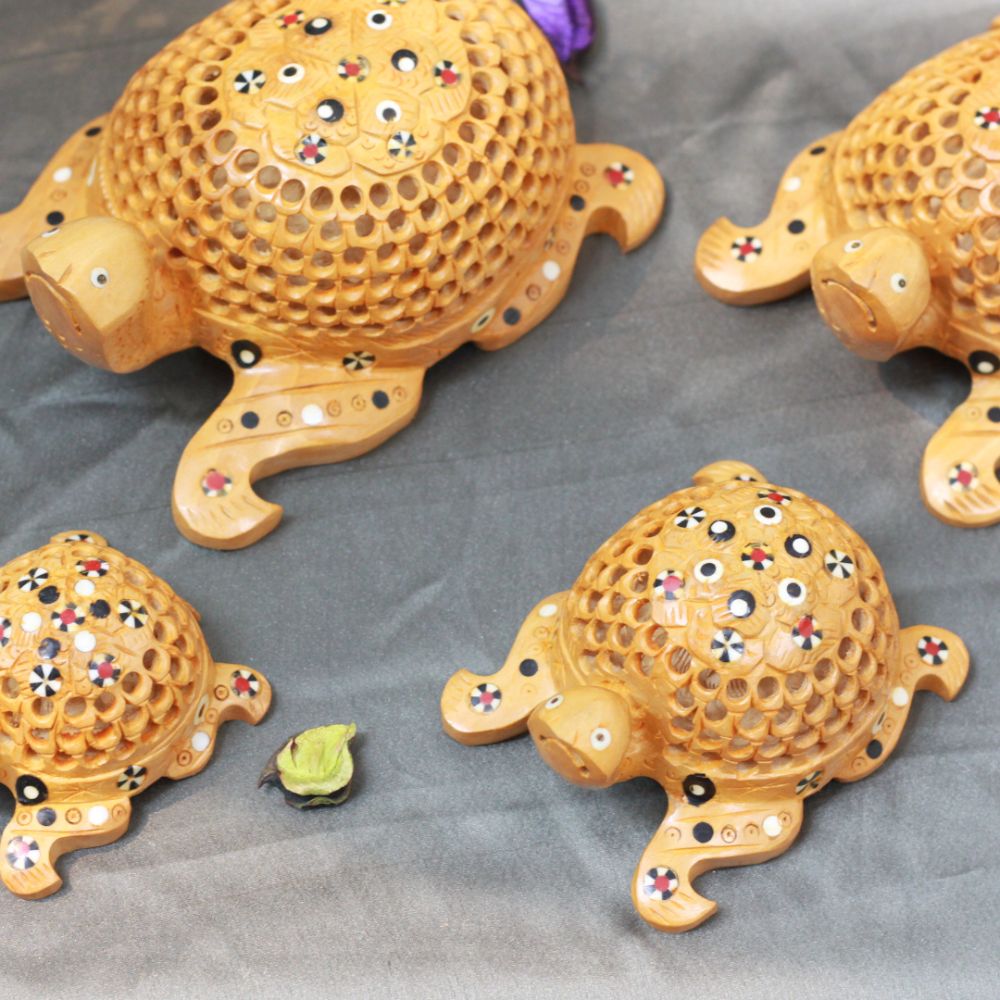 Tortoise Netted S/4