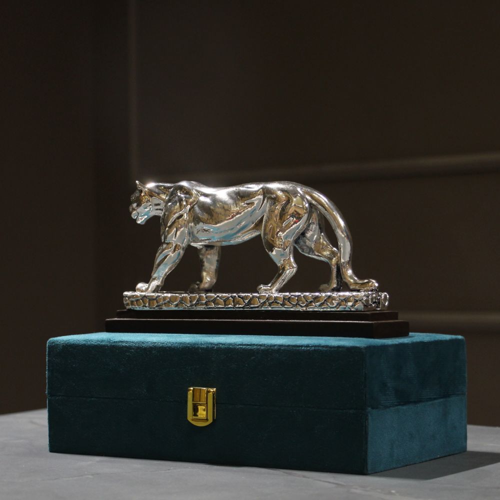 Tiger Clad With Silver W/b - 3