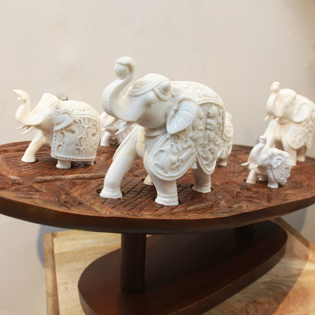 Elephant Family S/7