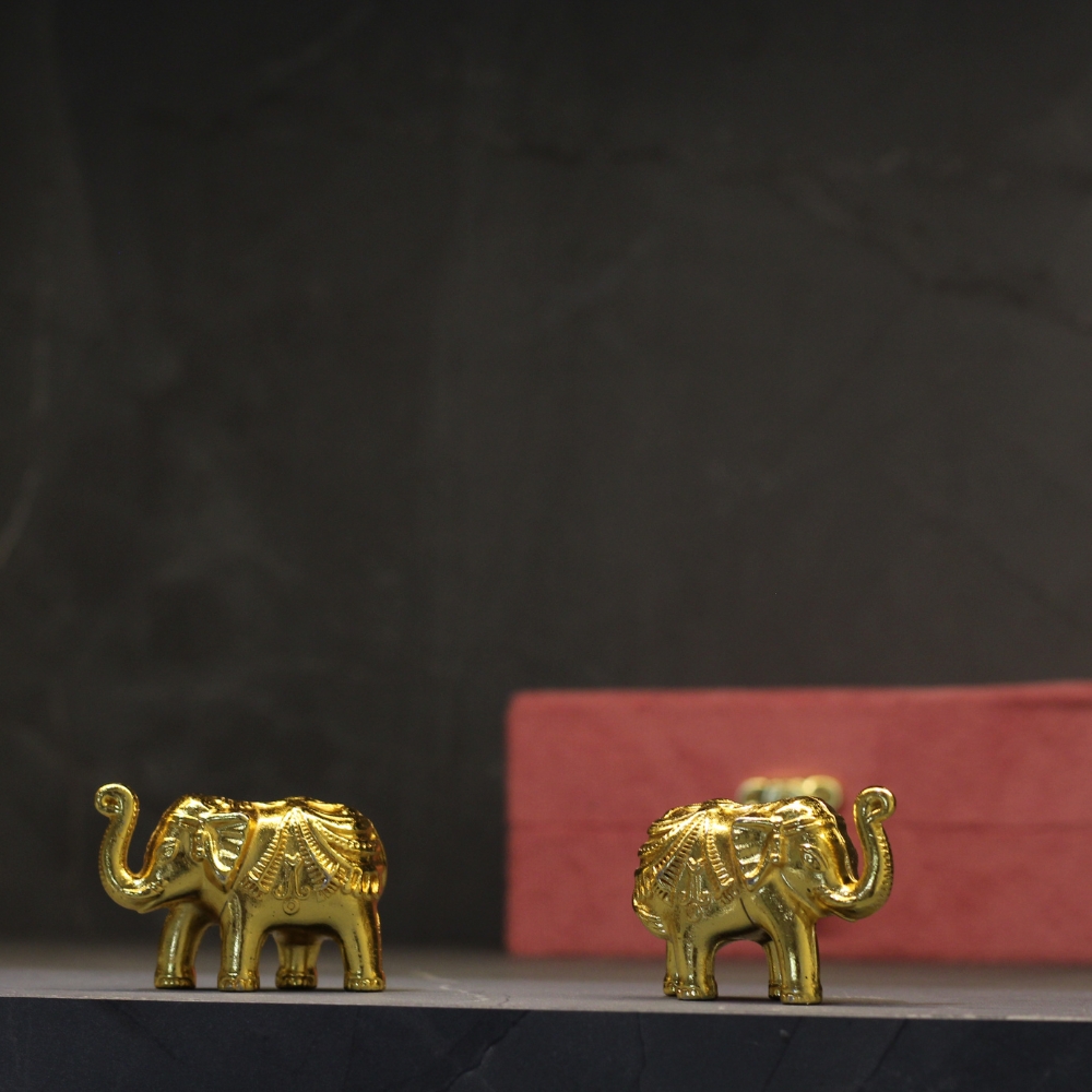 New Solid Elephant W/b - 5