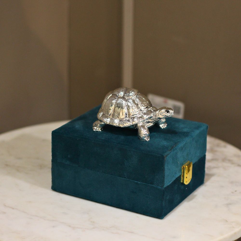 Tortoise 3'' Clad With Silver W/b