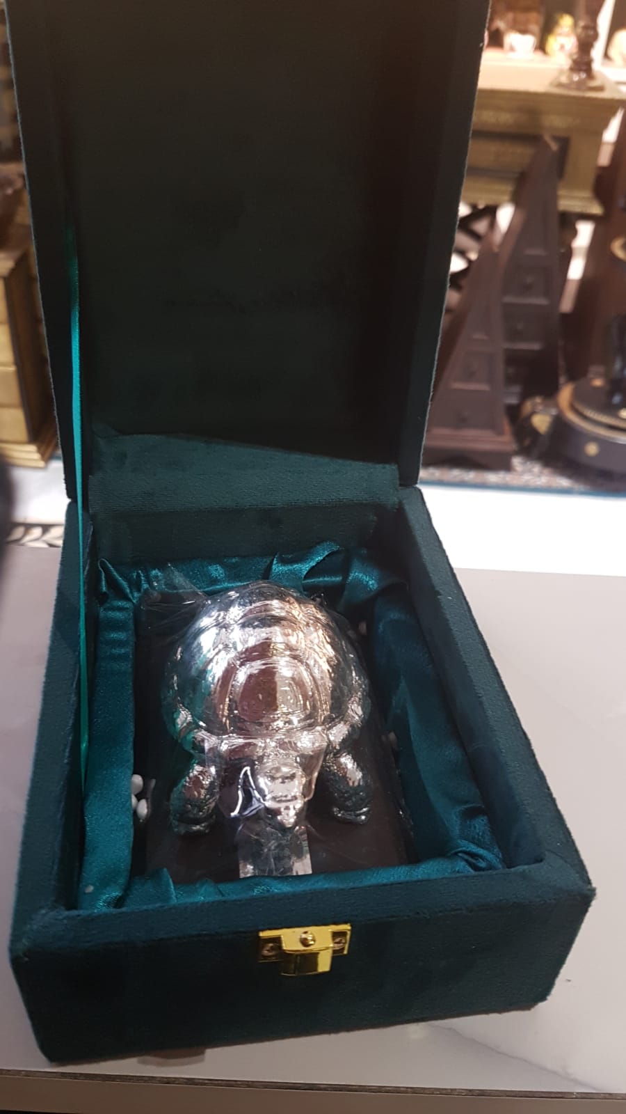 Tortoise 3'' Clad With Silver W/b