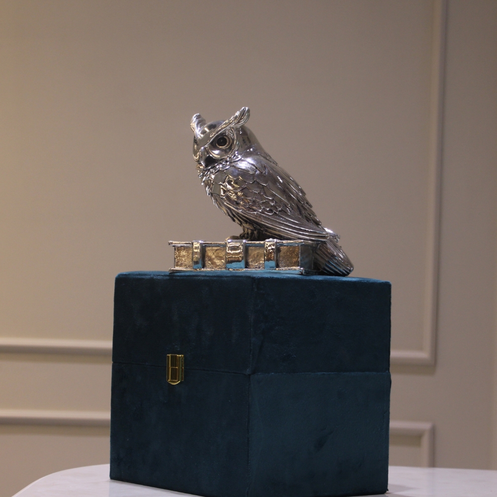 Owl Clad Silver W/b