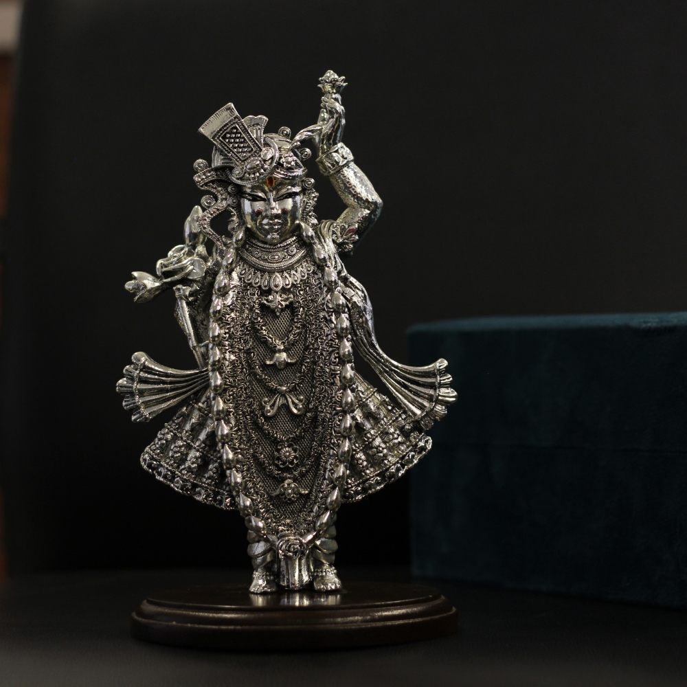 Standing Shrinath Ji - 5