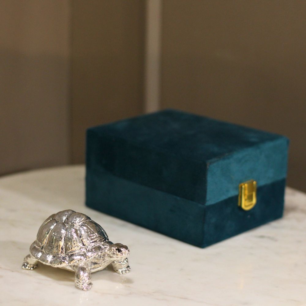 Tortoise 3'' Clad With Silver W/b - 4