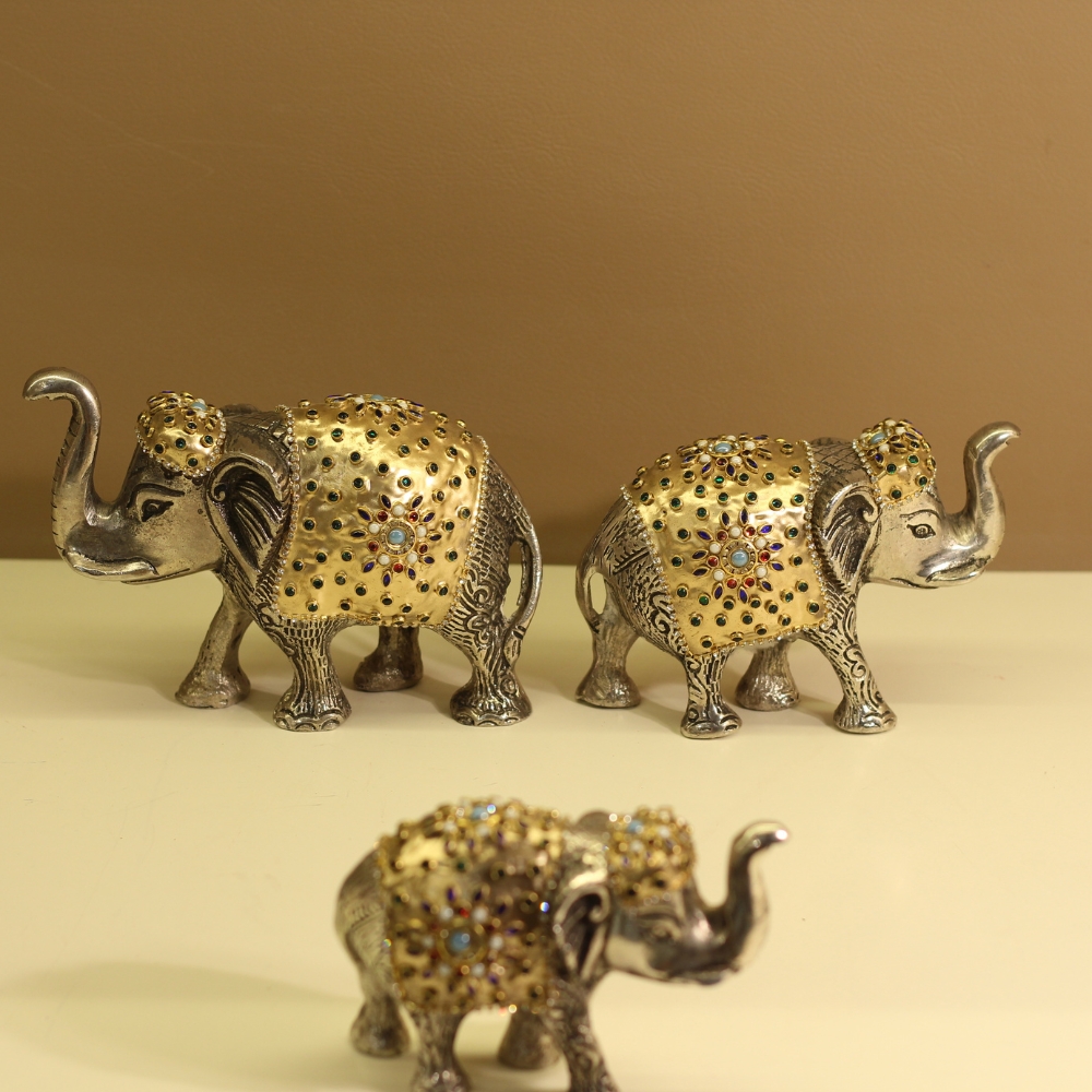 Elephant S/3 Golden Work - 5
