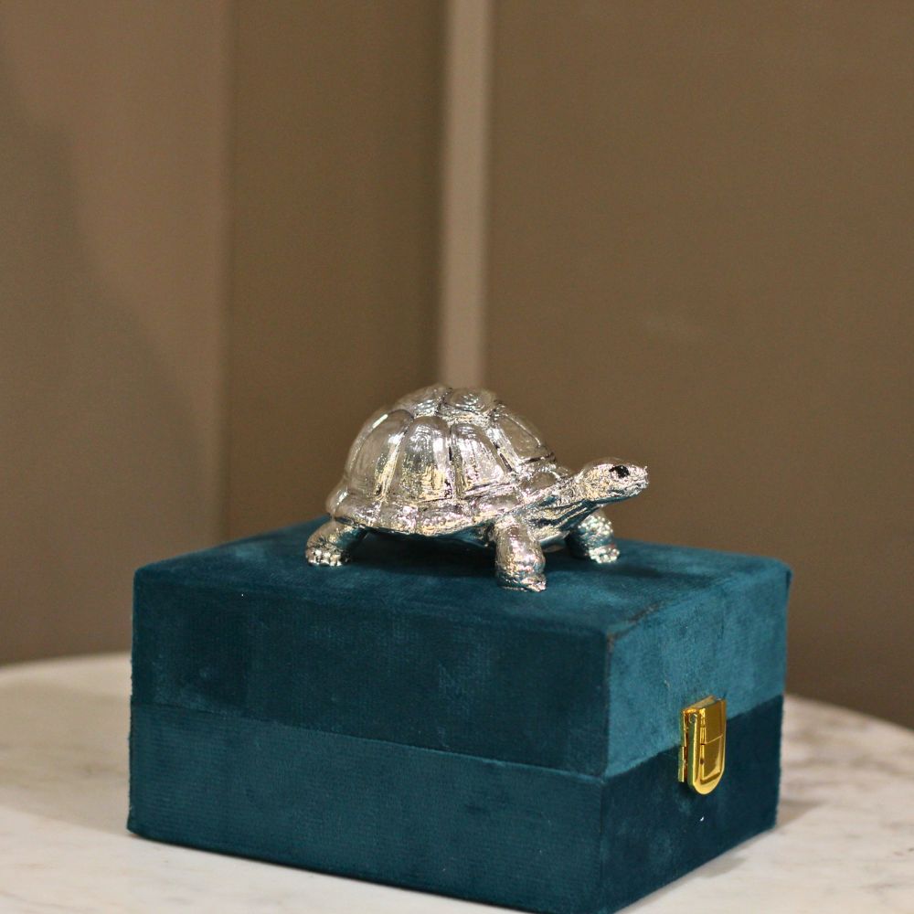 Tortoise 3'' Clad With Silver W/b - 5
