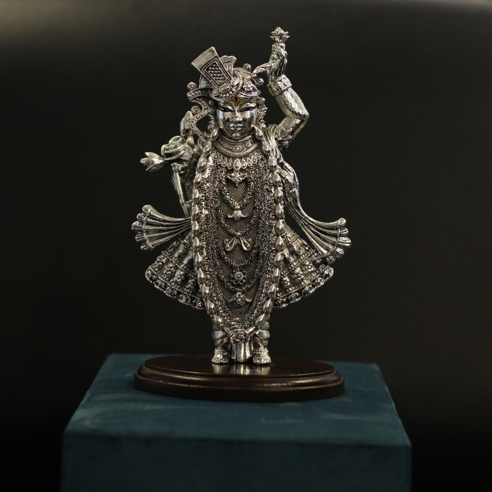 Standing Shrinath Ji - 4