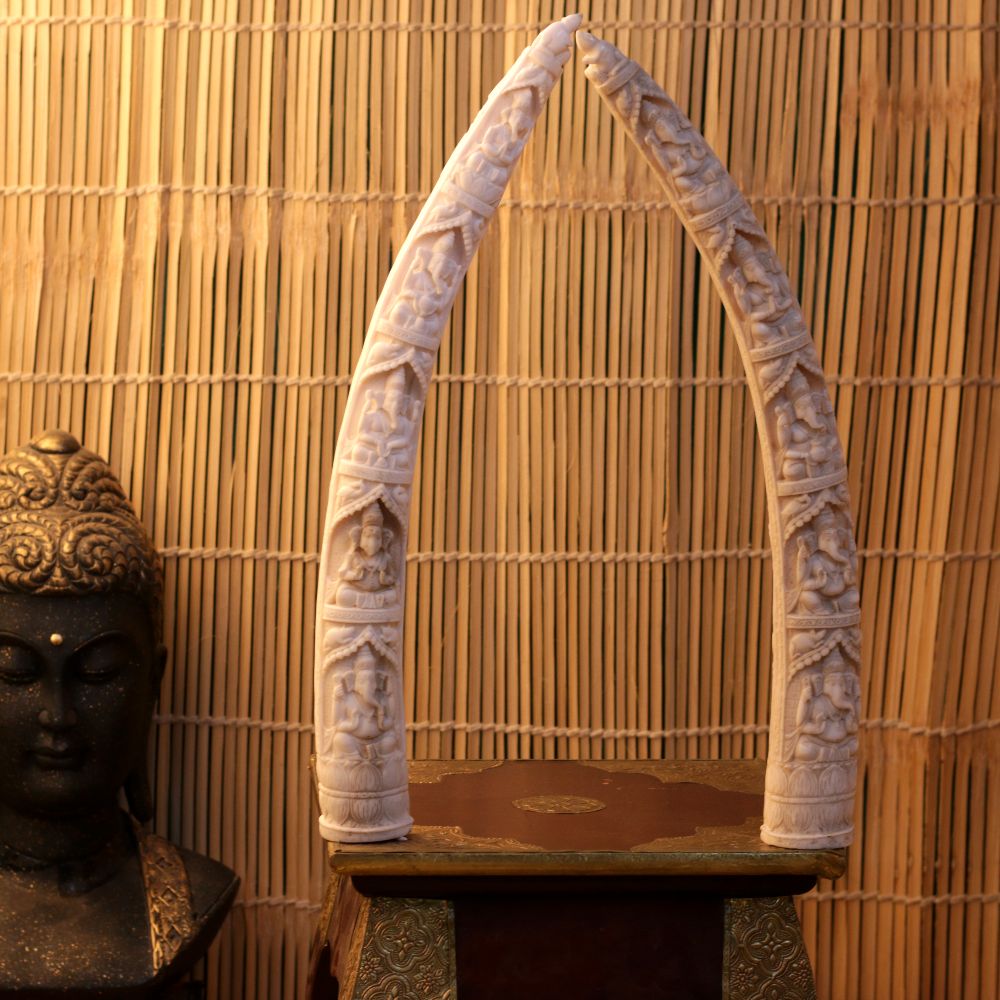 ELEPHANT TUSK