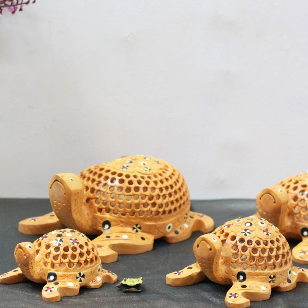 Tortoise Netted S/4