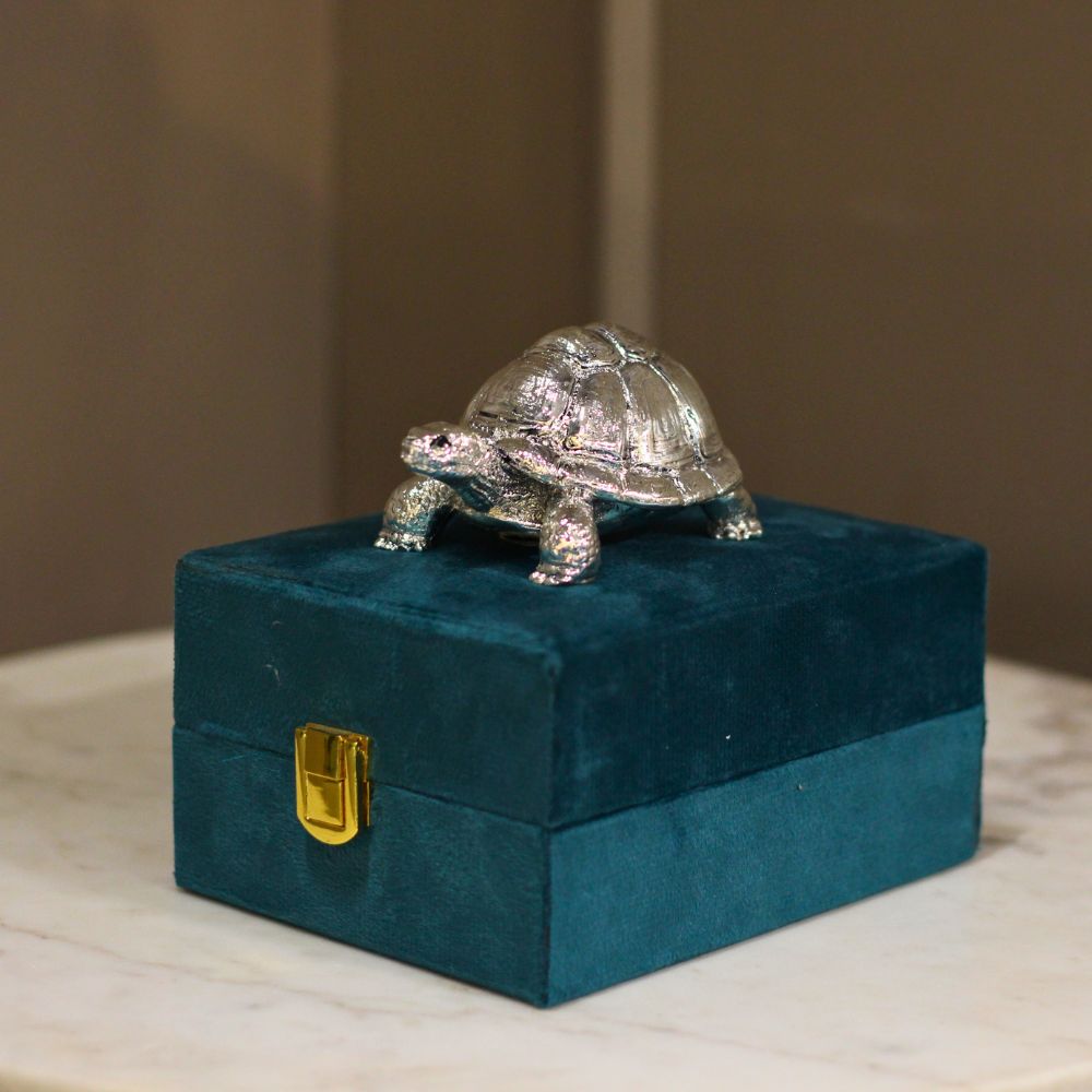 Tortoise 3'' Clad With Silver W/b - 3