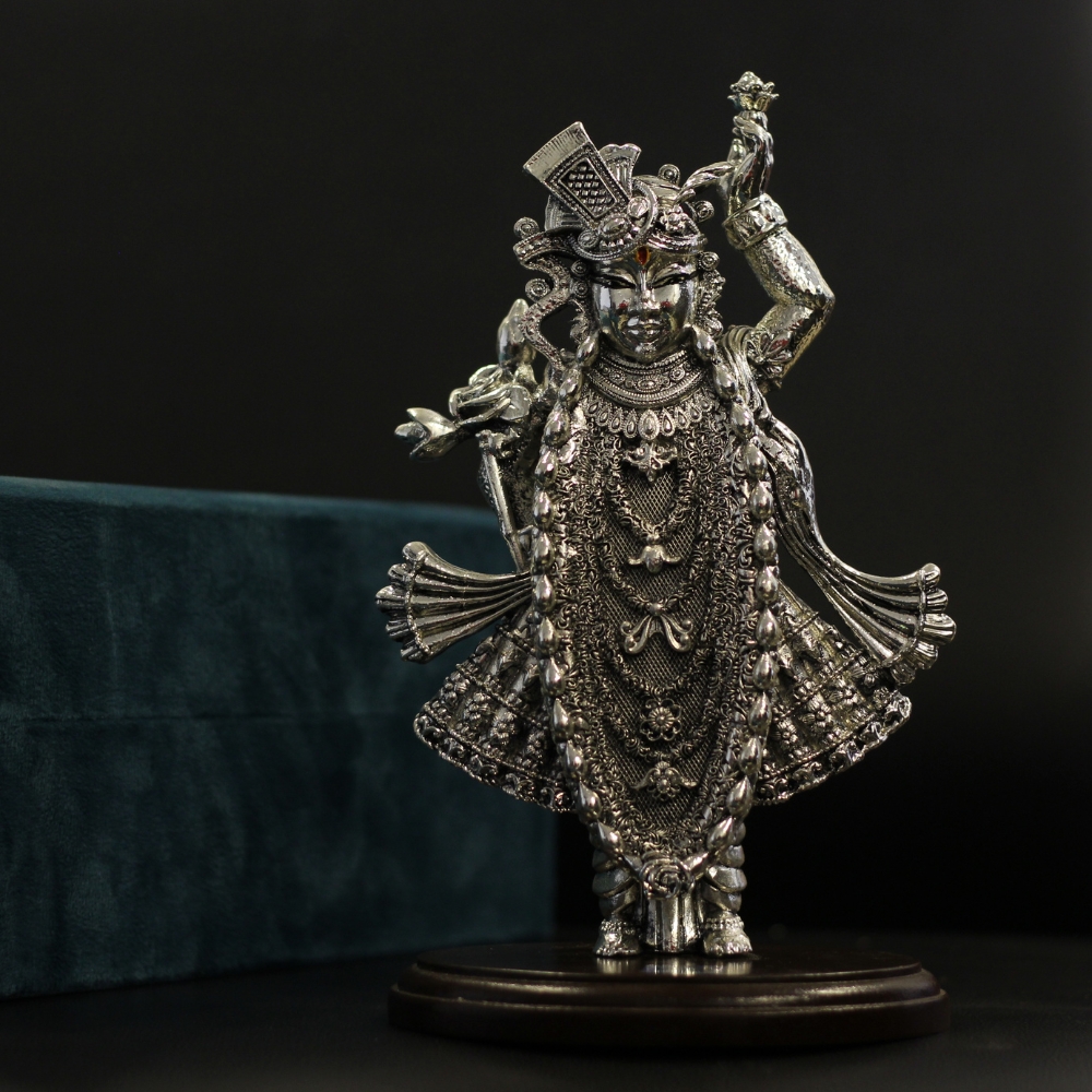 Standing Shrinath Ji - 6