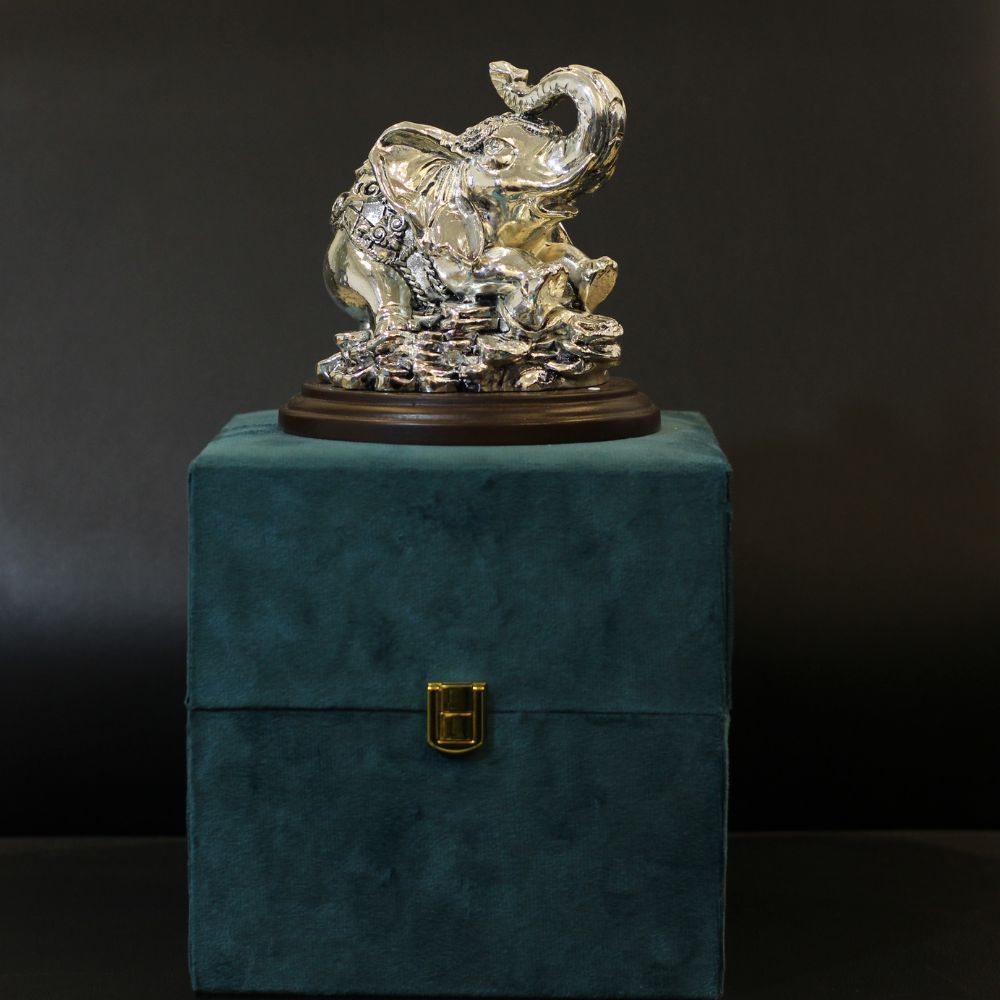 Single Elephant Coin Silver W/box