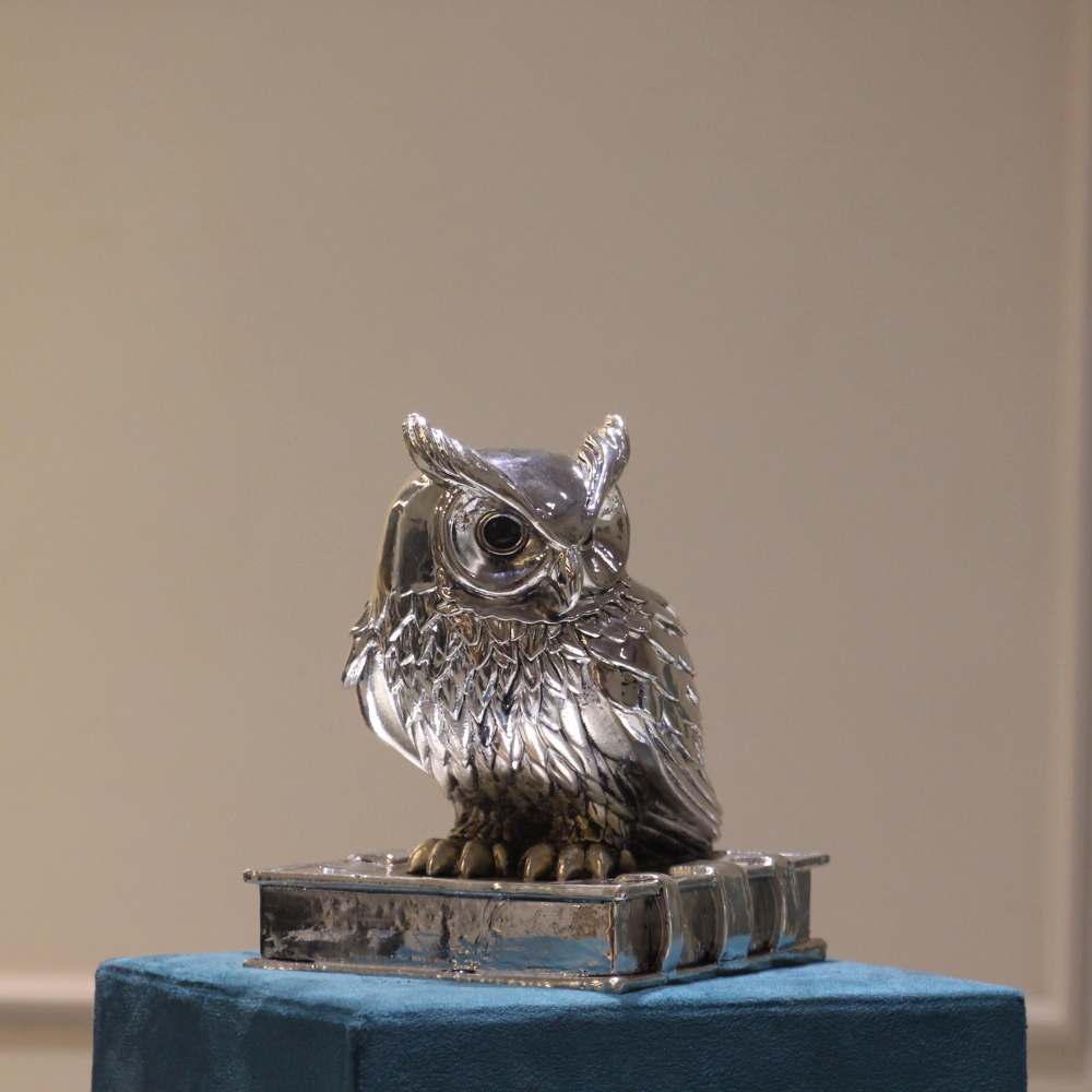 Owl Clad Silver W/b - 5