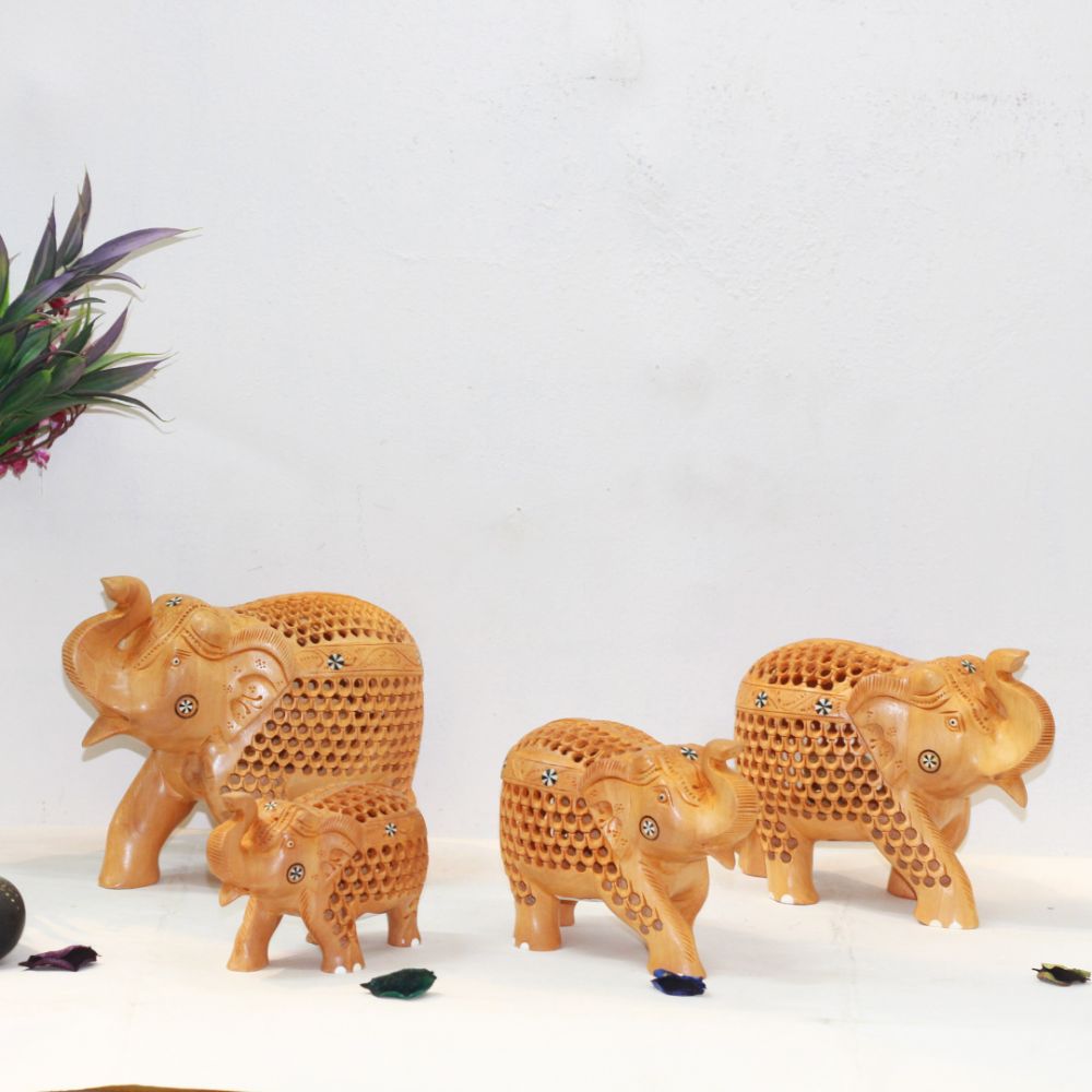 Jali Elephant S/4
