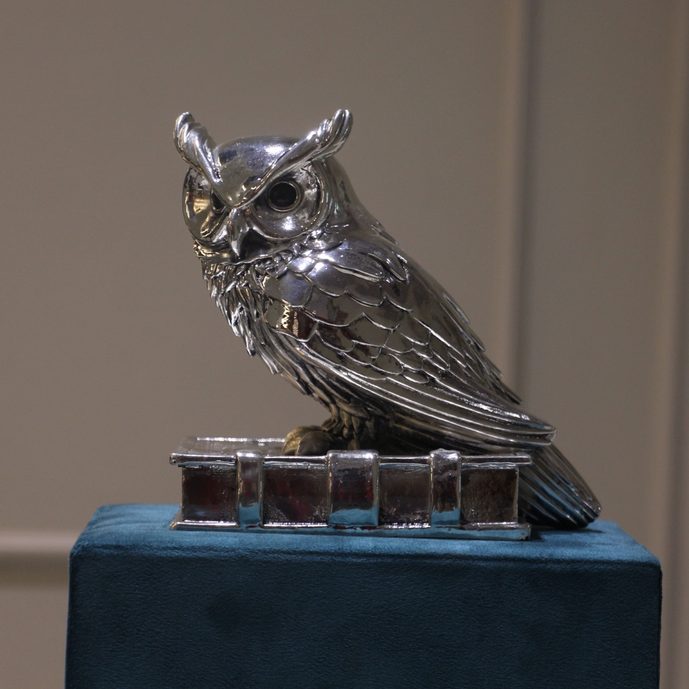 Owl Clad Silver W/b - 4