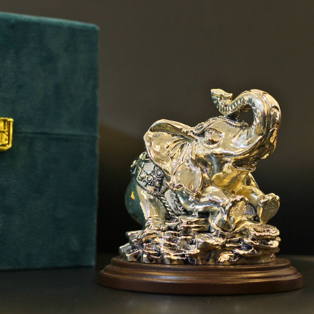 Single Elephant Coin Silver W/box - 5