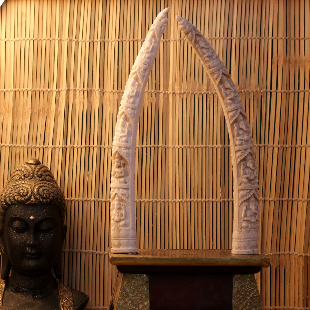 ELEPHANT TUSK