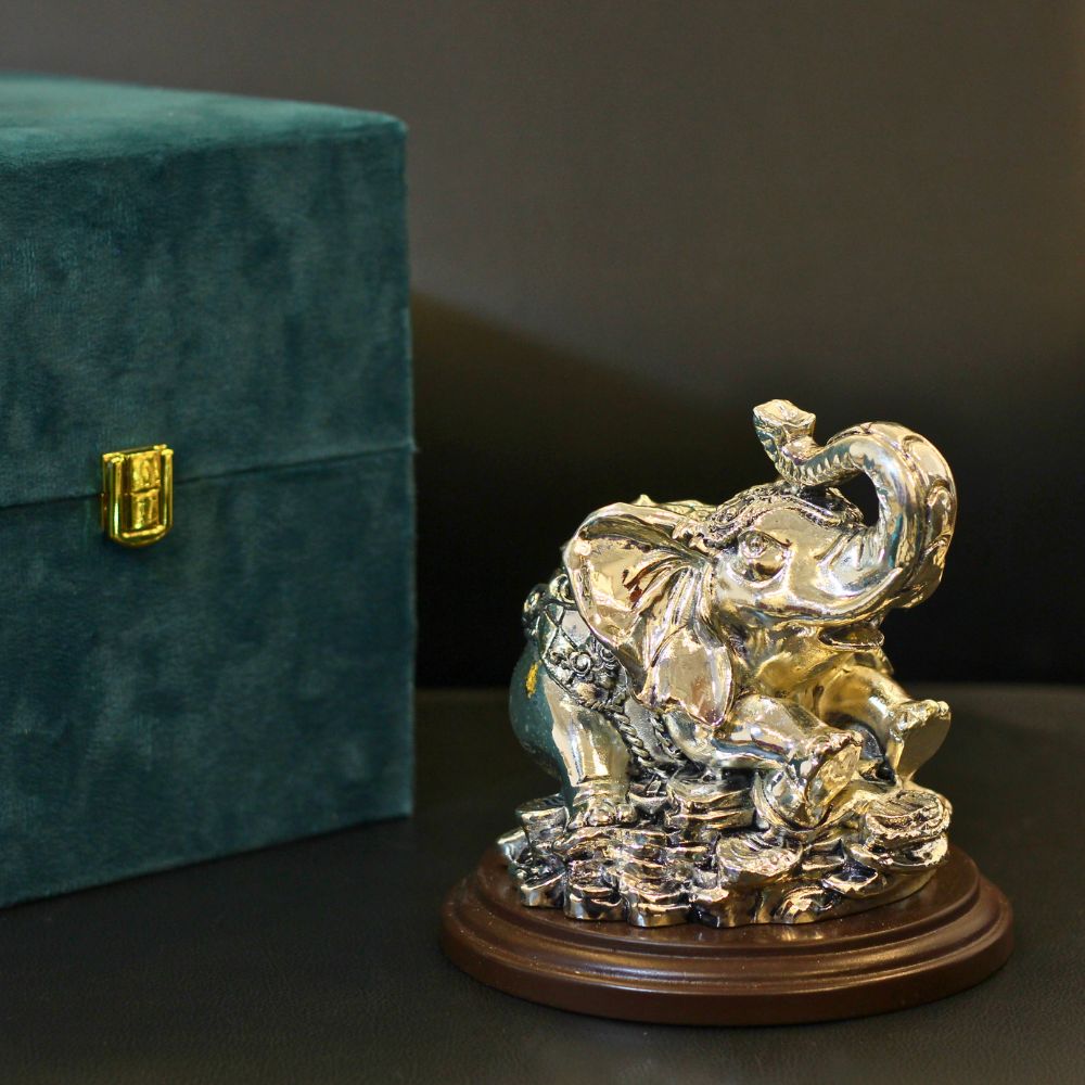 Single Elephant Coin Silver W/box - 4