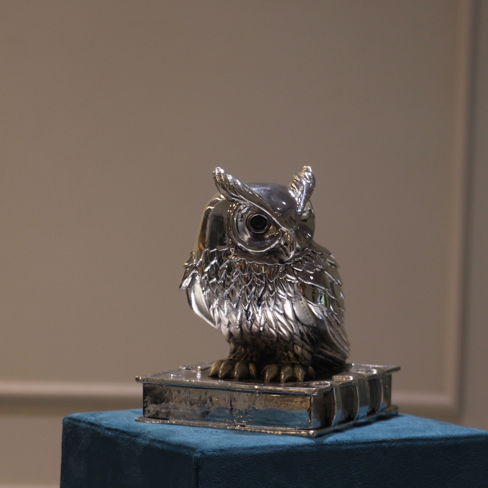 Owl Clad Silver W/b - 3