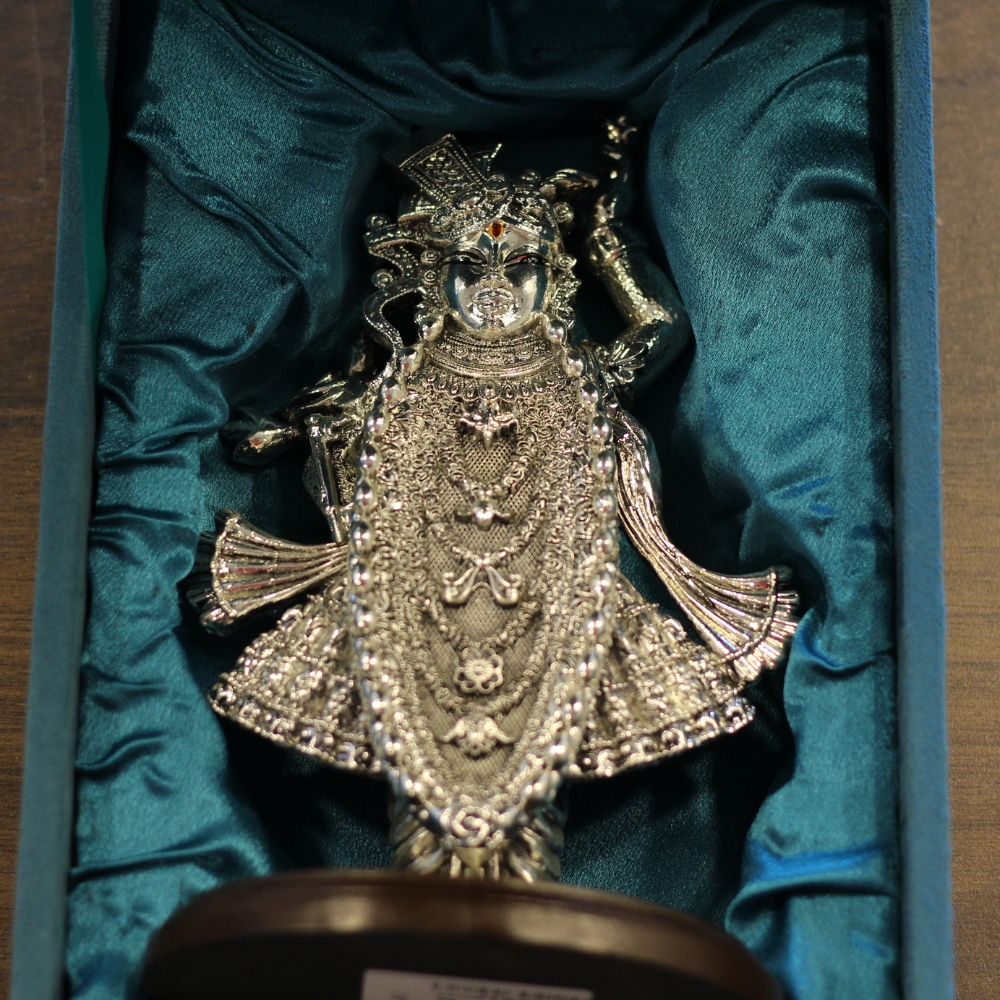 Standing Shrinath Ji - 3