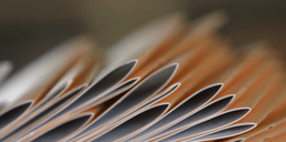 Brochures