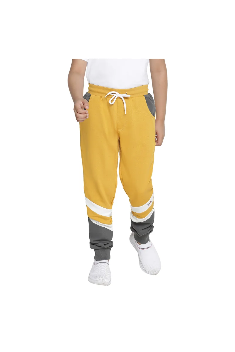 Spyby Boys Grey Color Strip Print Jogger