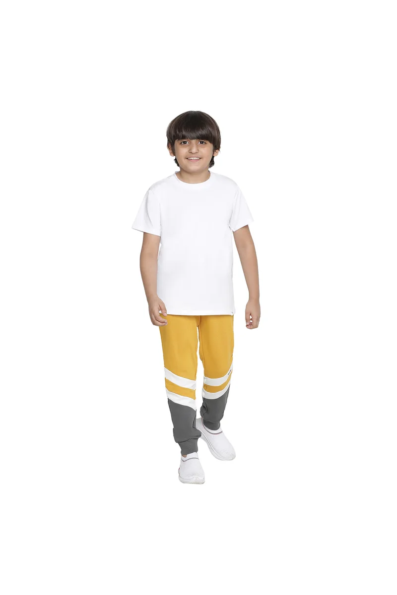 Spyby Boys Grey Color Strip Print Jogger - 4